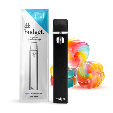 Budget 1 gram Disposable Vape VAPESATL.COM Budget 1 gram Disposable Vape VAPESATL.COM
