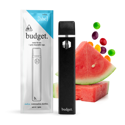 Budget 1 gram Disposable Vape VAPESATL.COM Budget 1 gram Disposable Vape VAPESATL.COM