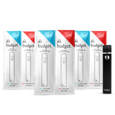 Budget 1 gram Disposable Vape VAPESATL.COM Budget 1 gram Disposable Vape VAPESATL.COM