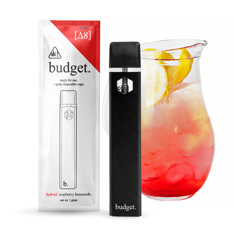 Budget 1 gram Disposable Vape VAPESATL.COM Budget 1 gram Disposable Vape VAPESATL.COM