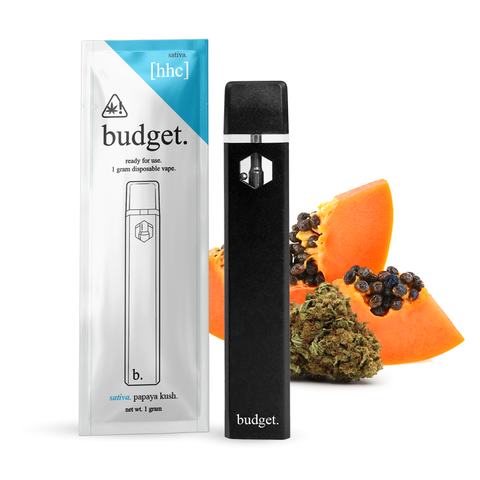 Budget 1 gram Disposable Vape VAPESATL.COM Budget 1 gram Disposable Vape VAPESATL.COM